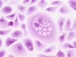 Care Oncology Clinic